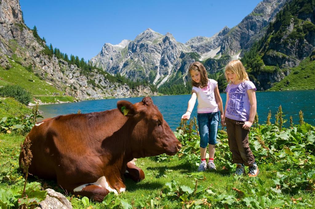 Wander- Und Familienhotel Erika Wagrain Zewnętrze zdjęcie
